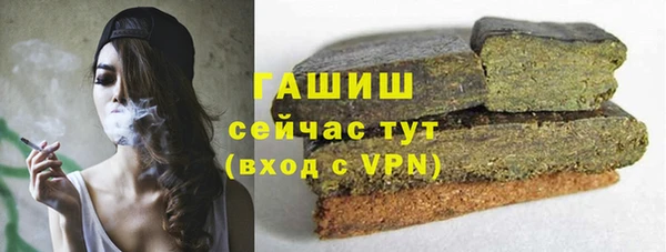 хмурый Мегион