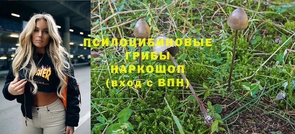 гидра Нефтекумск