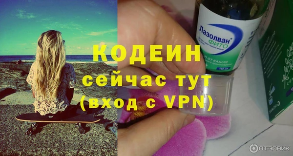 хмурый Мегион