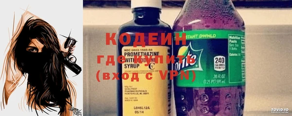 хмурый Мегион