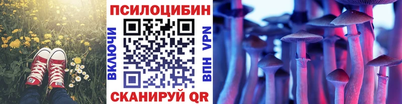 Псилоцибиновые грибы мицелий  наркошоп  Канск 