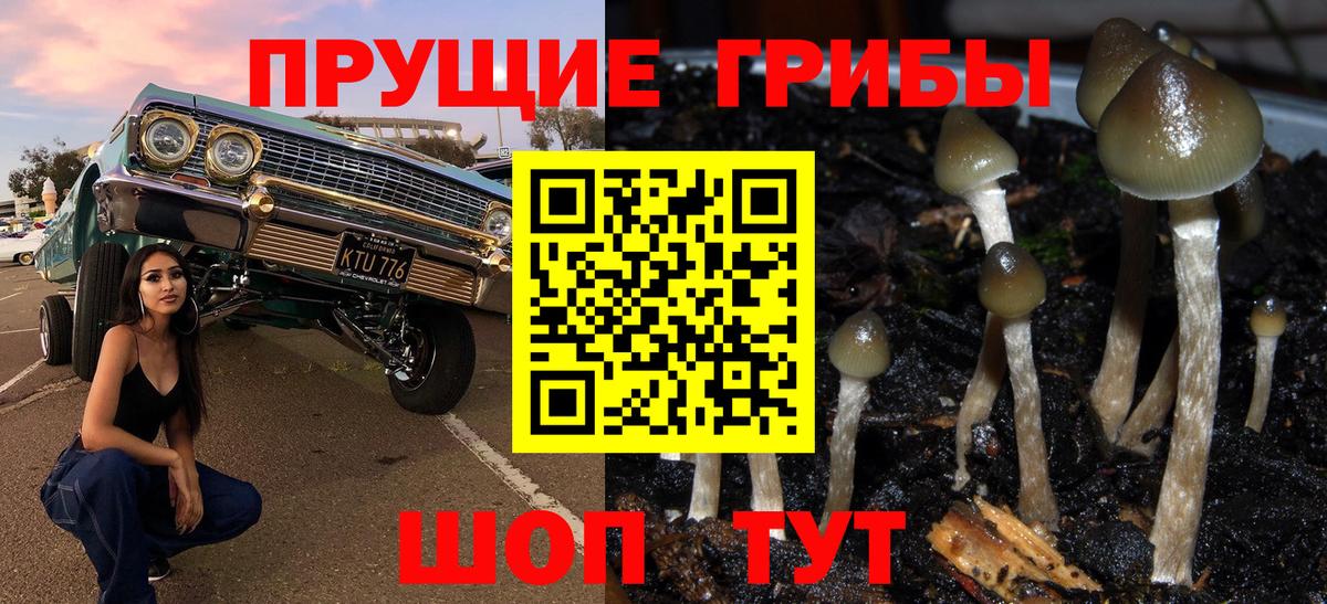 Псилоцибиновые грибы Magic Shrooms Канск