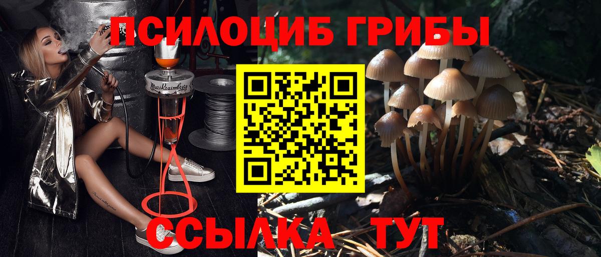 Галлюциногенные грибы мухоморы  Вход с VPN  как найти закладки  Канск 